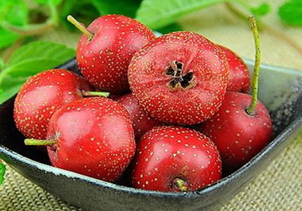 山楂:果膠之王.jpg 山楂:果膠之王.jpg