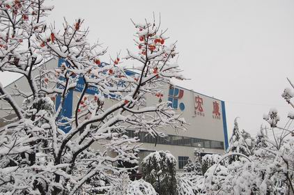 山東宏康機床:雪景一角.jpg 山東宏康機床:雪景一角.jpg
